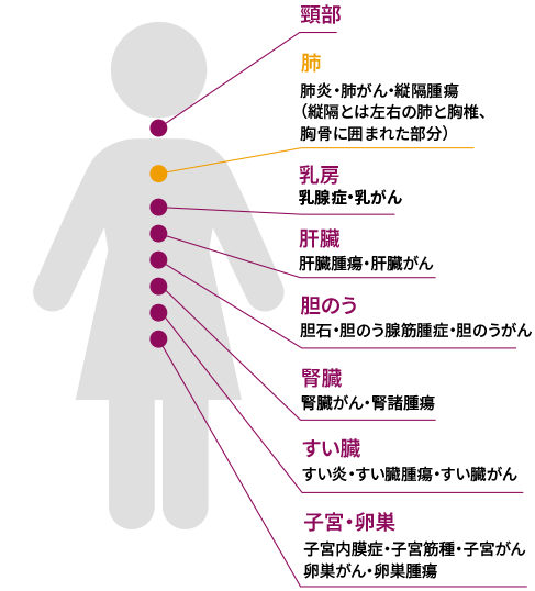 女性の体形イラスト